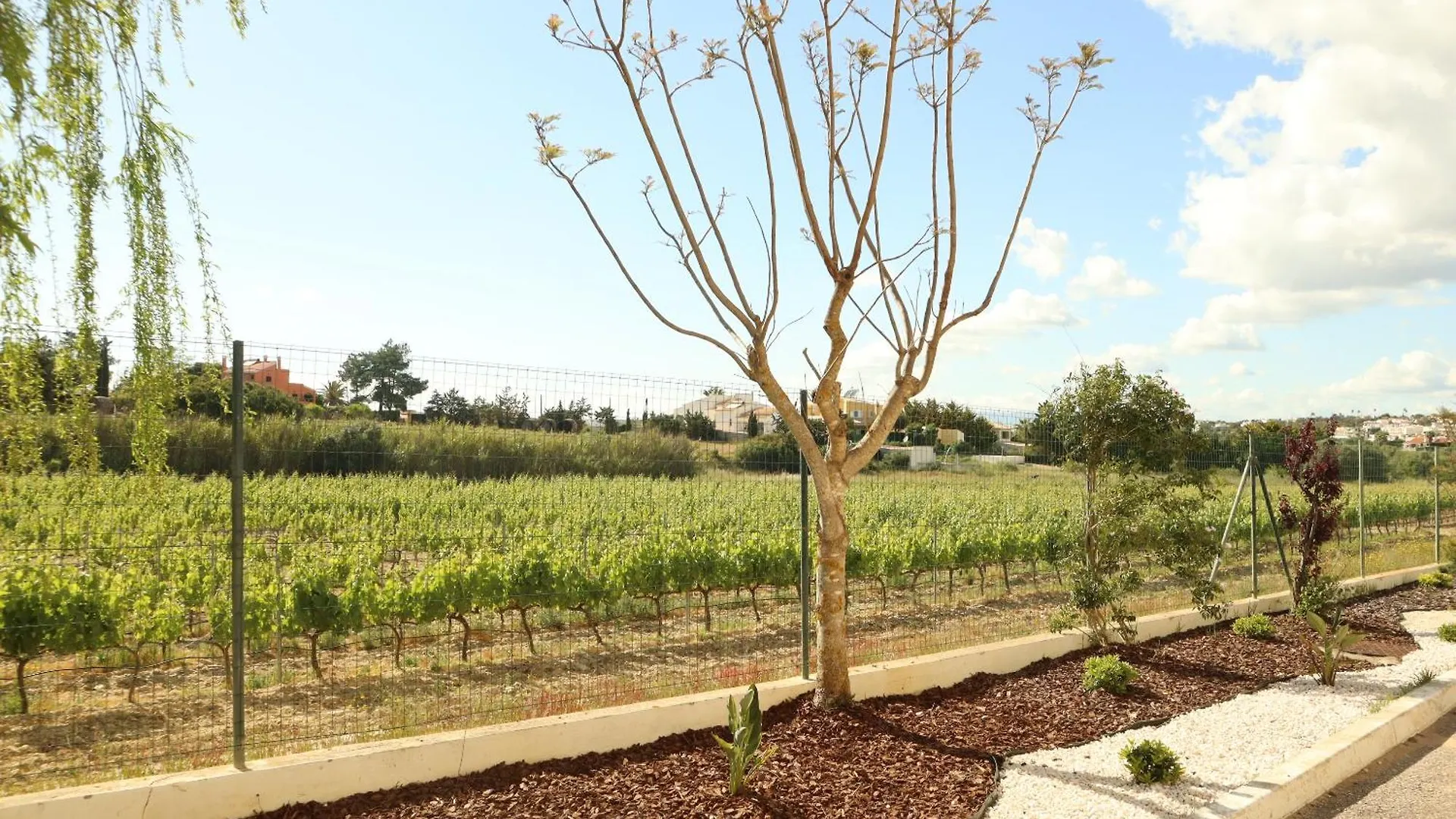Glenridge Resort By Albufeira Rental